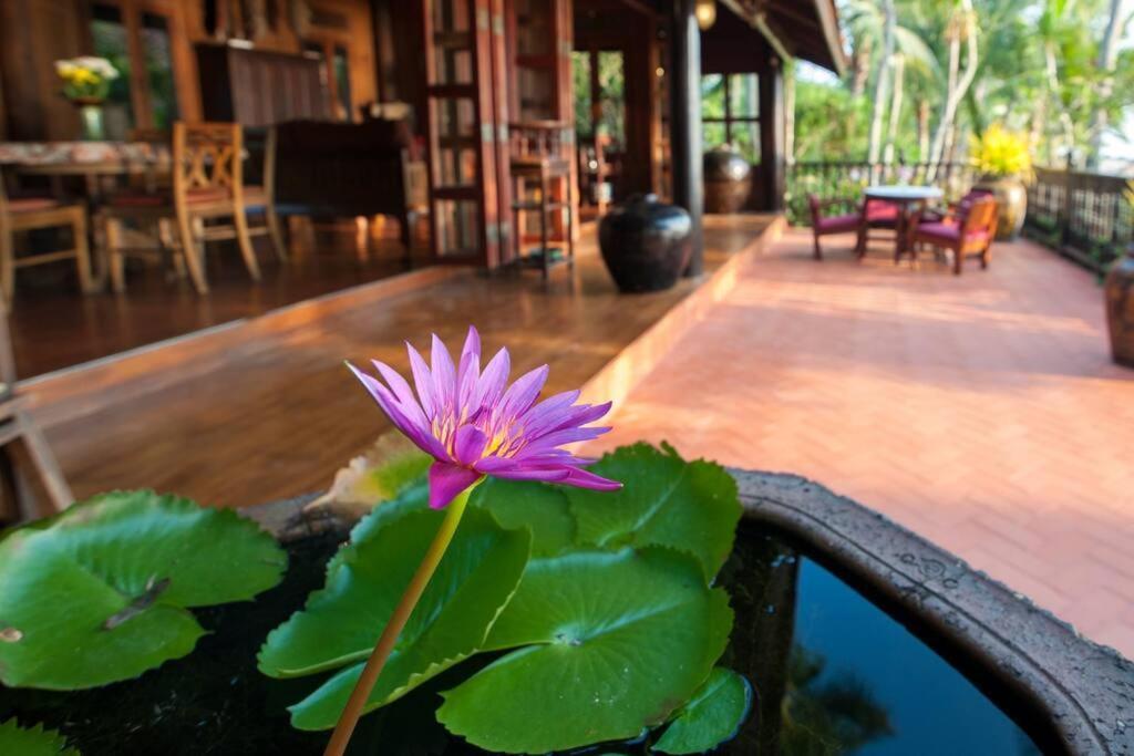 Five Islands Beach House Samui Amphoe Koksamui Extérieur photo